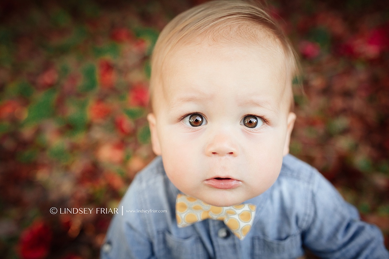 Gulf Breeze Baby Photographer