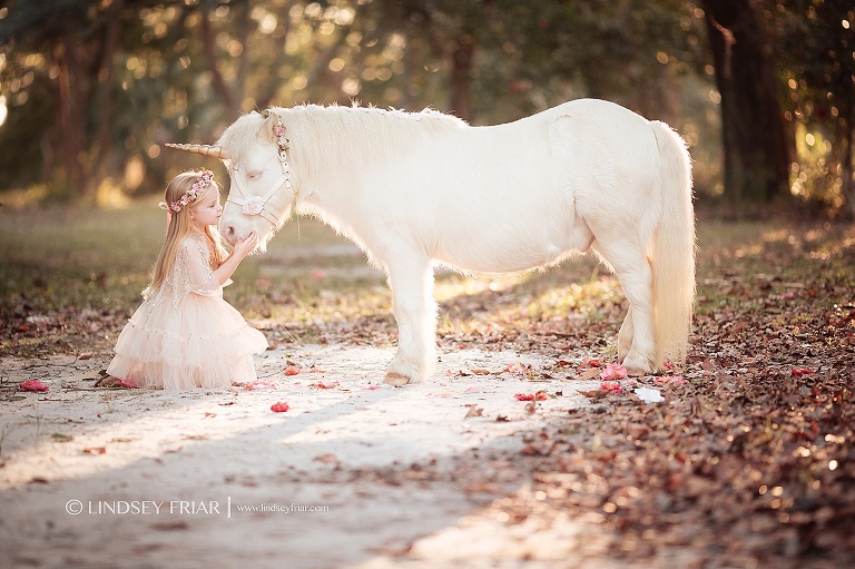 Unicorn Mini Session