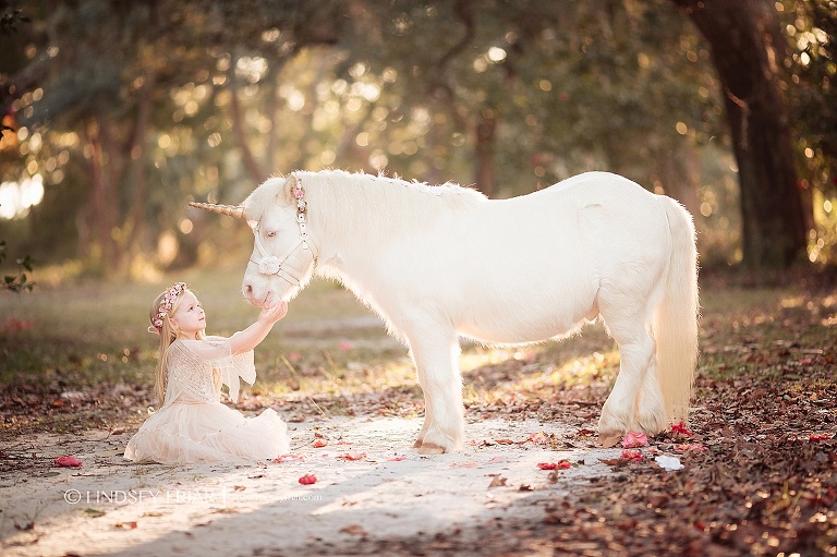 Unicorn Mini Session