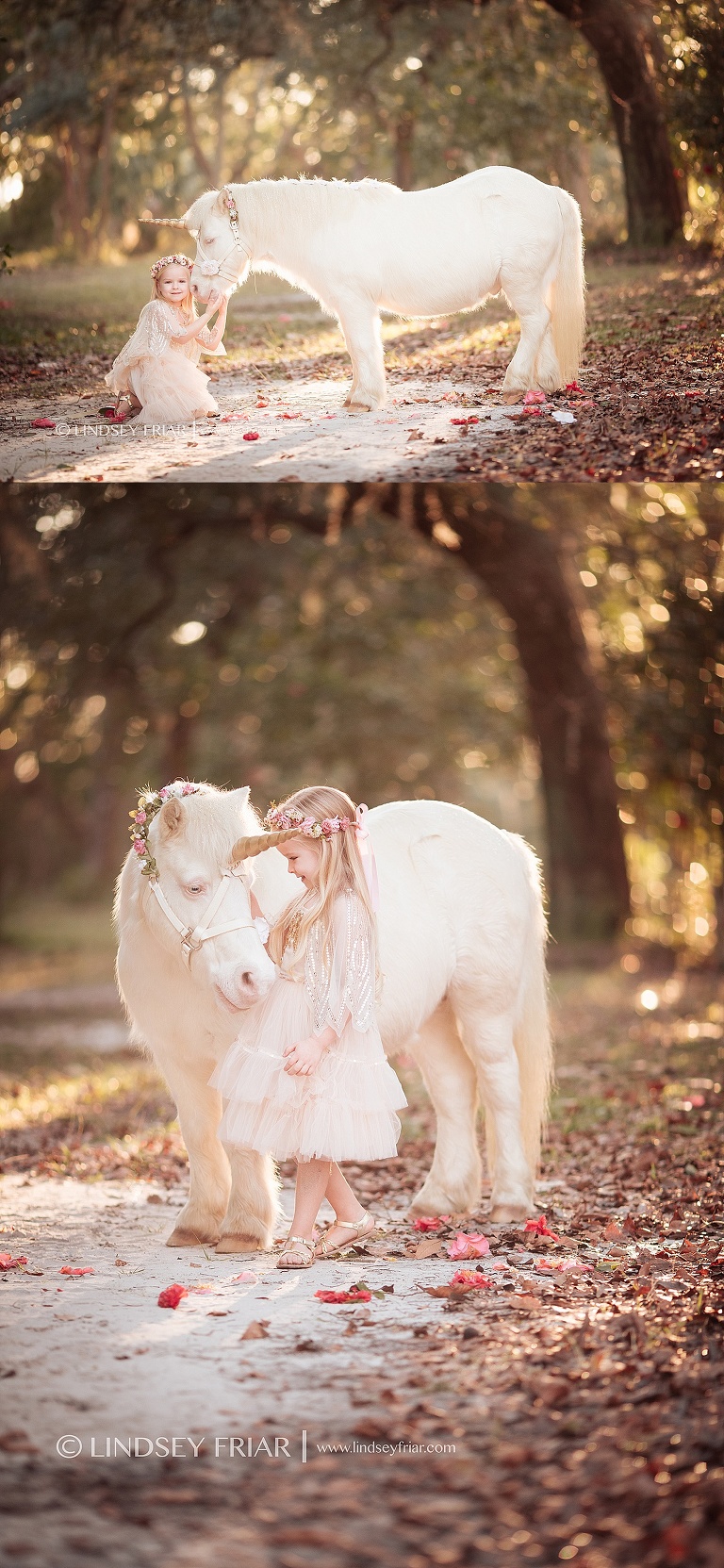 Unicorn Mini Session