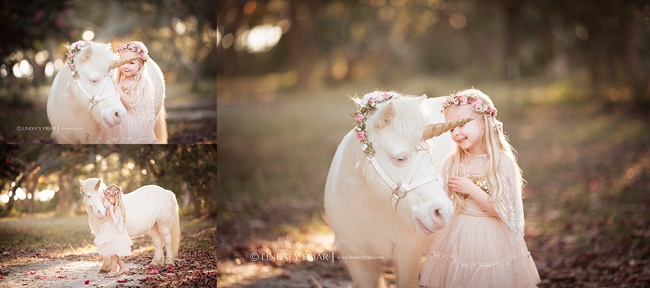 Unicorn Mini Session