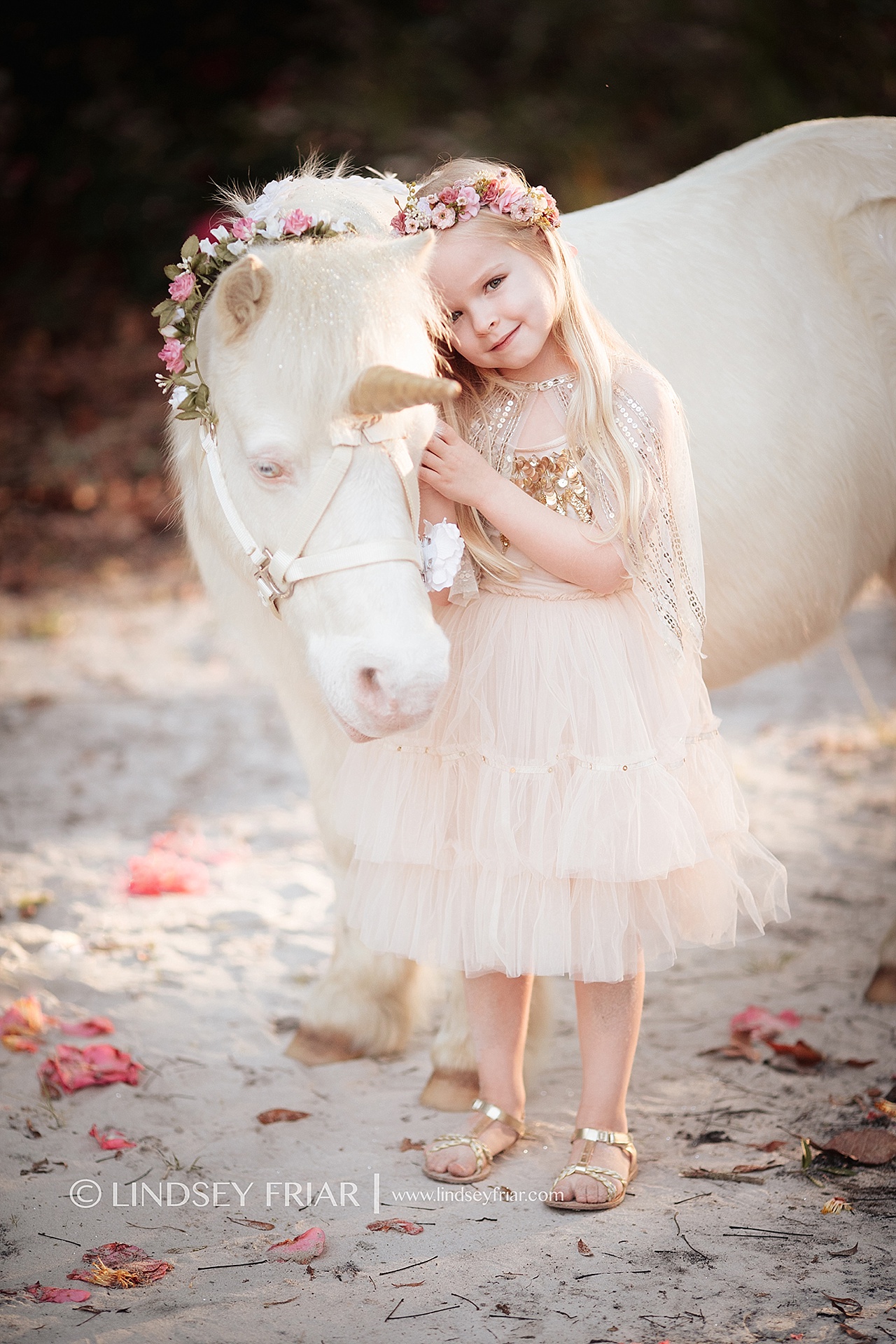 Unicorn Mini Session