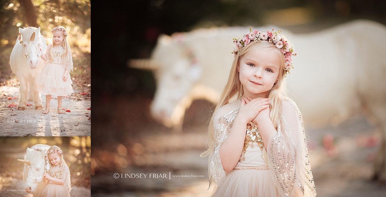 Unicorn Mini Session