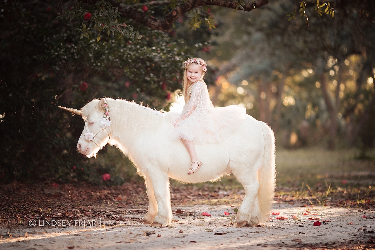 Unicorn Mini Session