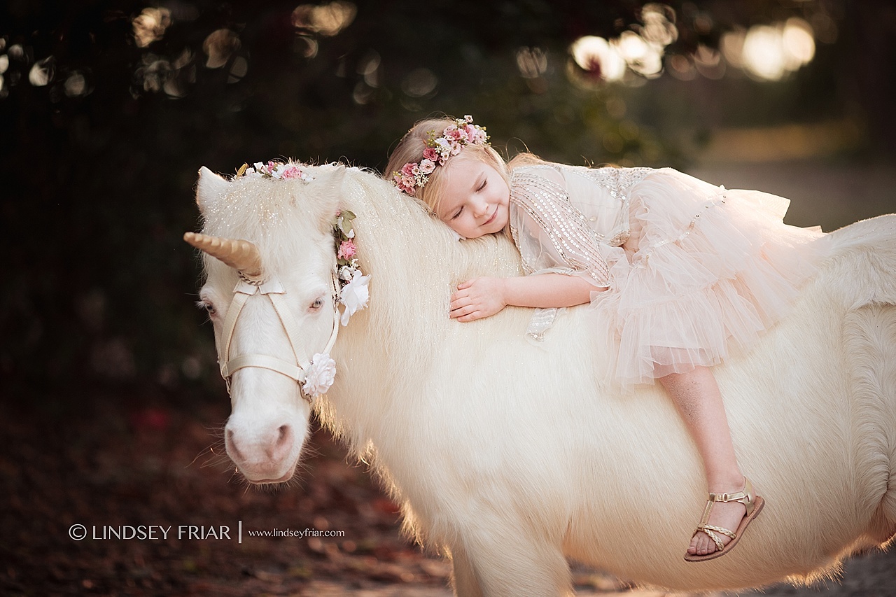 Unicorn Mini Session