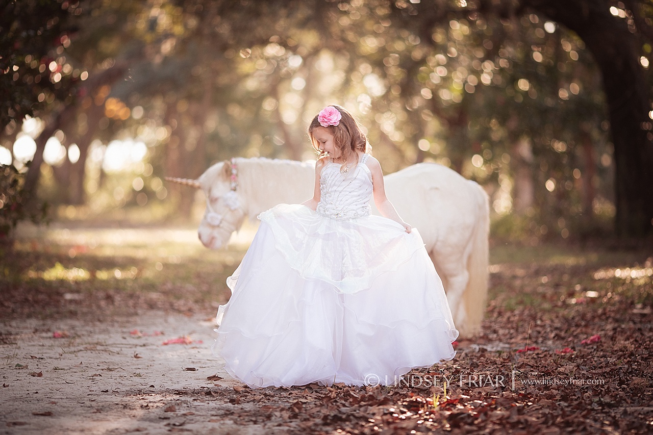 Unicorn Mini Session - Gulf Breeze, Florida