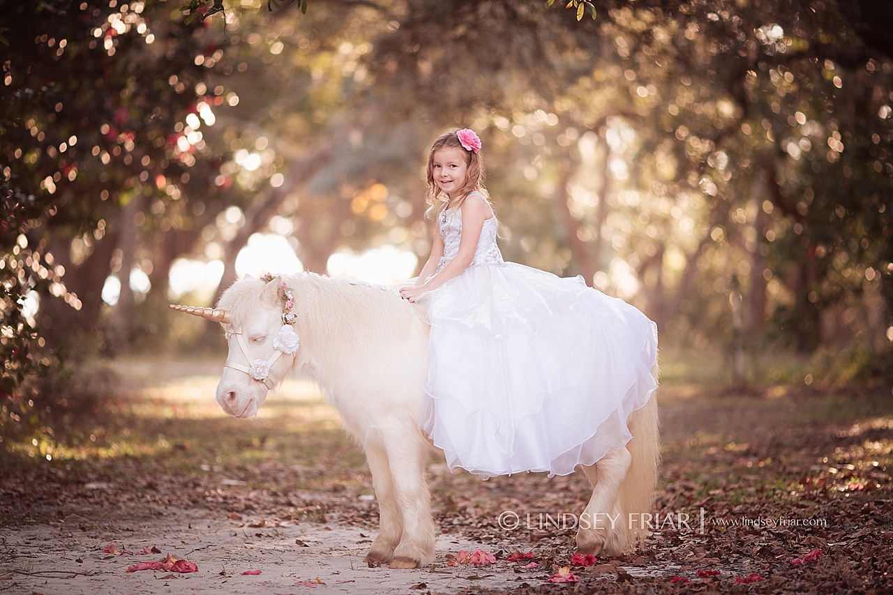 Unicorn Mini Session - Gulf Breeze, Florida