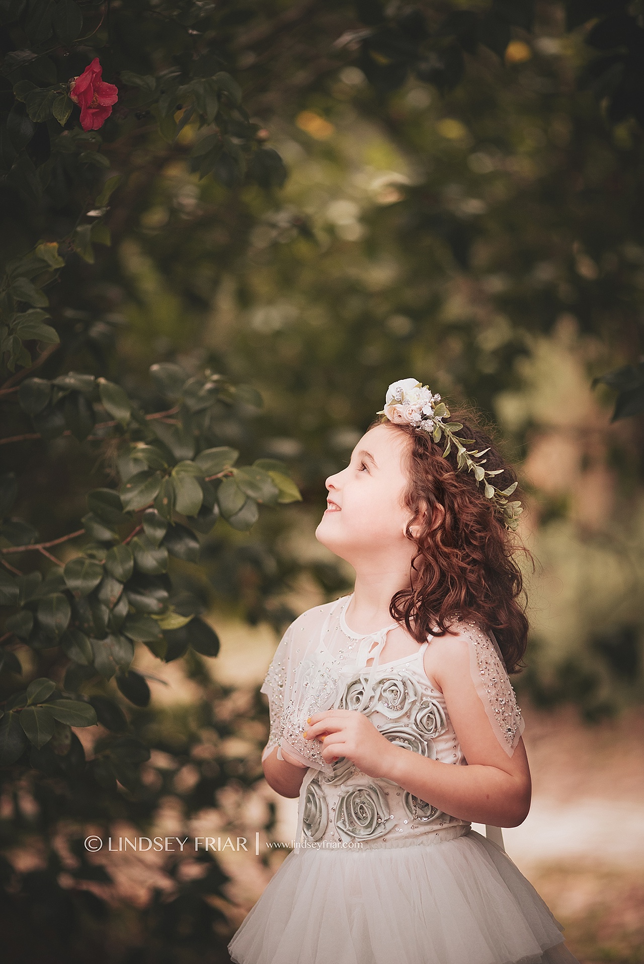 Gulf Breeze Photographer