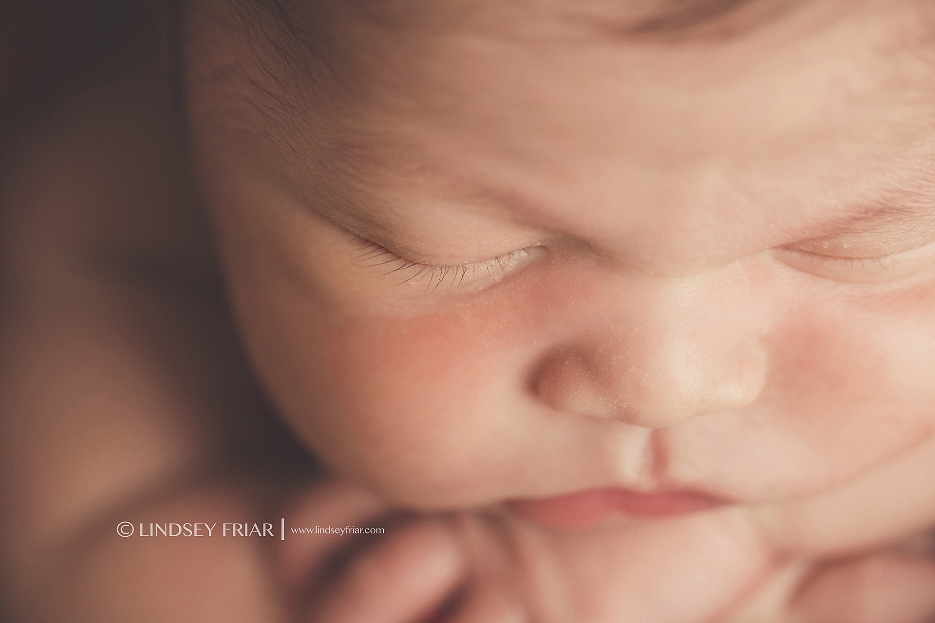 Pensacola Florida Newborn Photographer 10