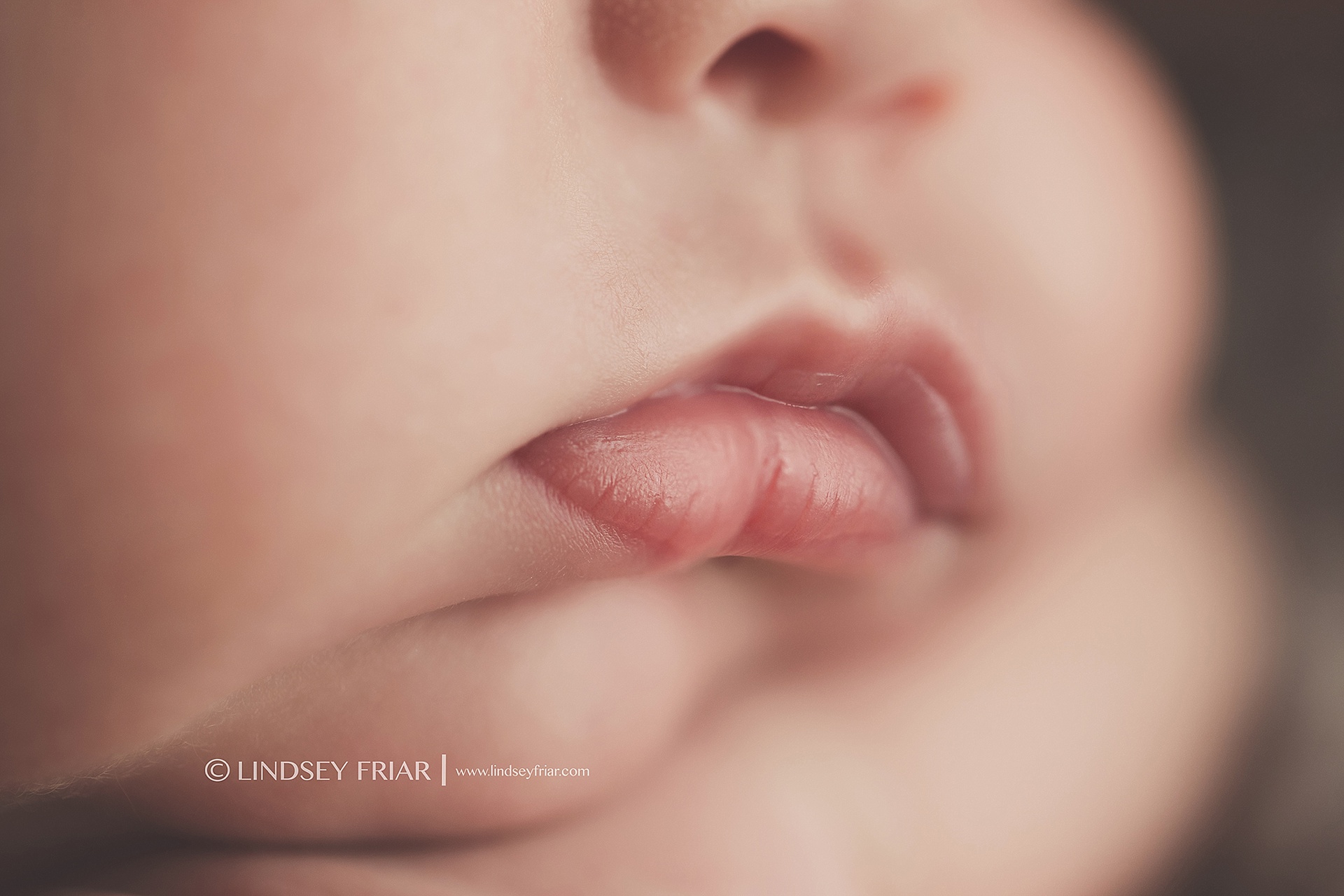 Pensacola Florida Newborn Photographer 11