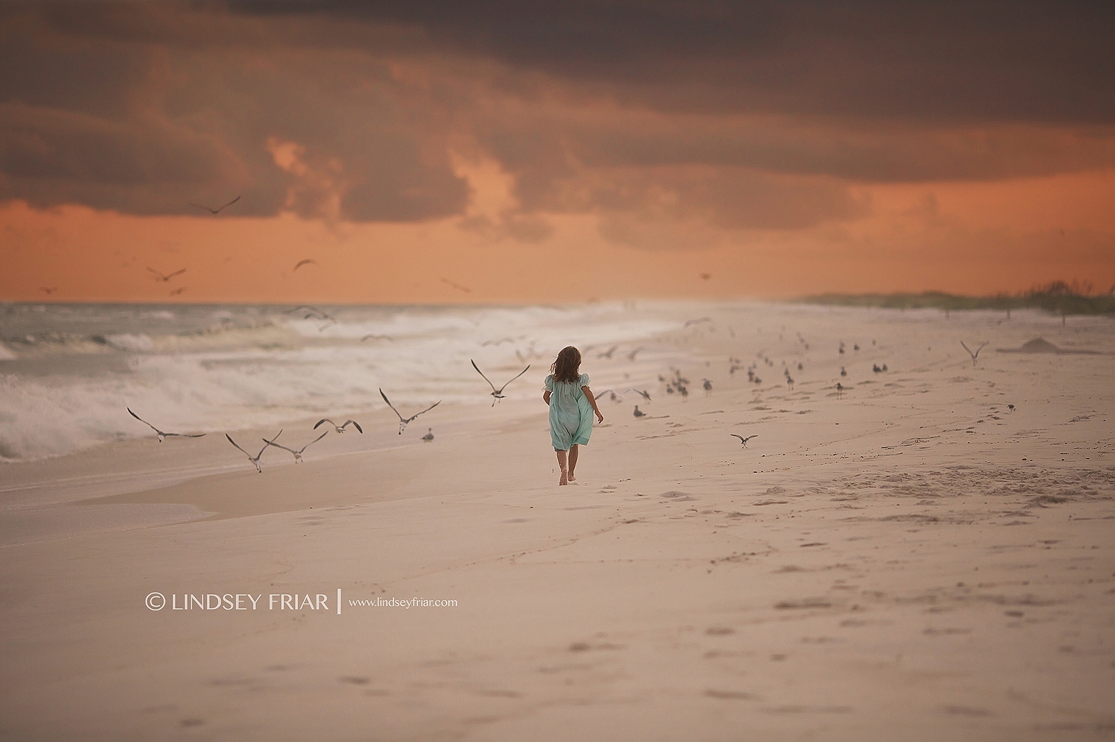 little girl running into seagulls during the sunet on Pensacola Beach