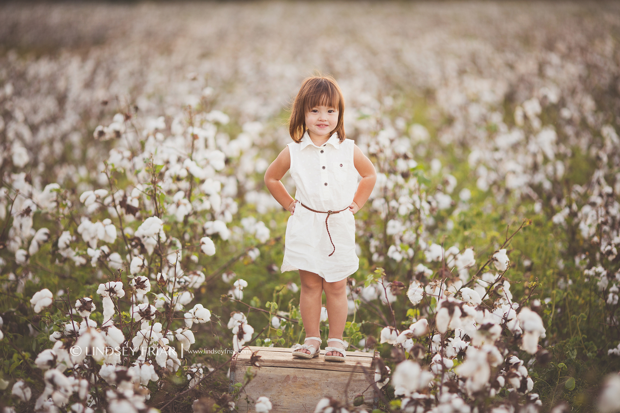 Family Photography in Cotton Fields located in Milton Florida