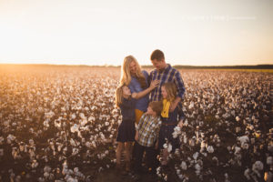 Cotton Mini Sessions Pensacola, Florida