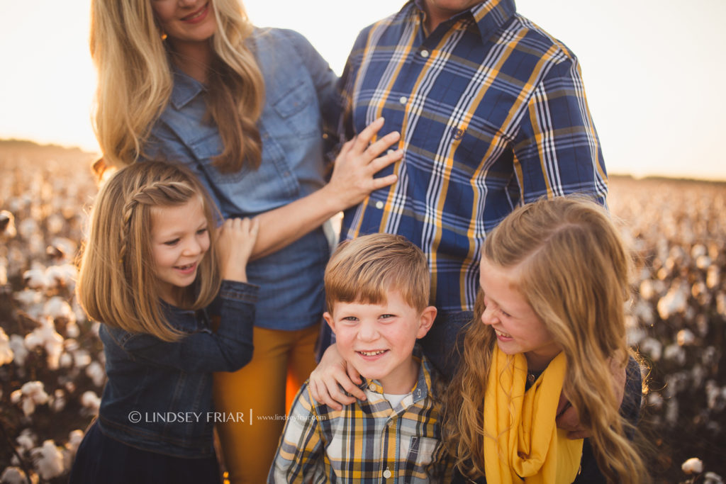 Cotton Mini Sessions Pensacola, Florida