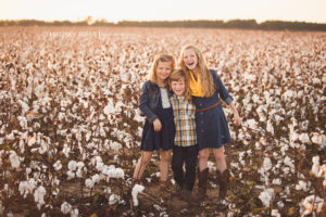 Cotton Mini Sessions Pensacola, Florida