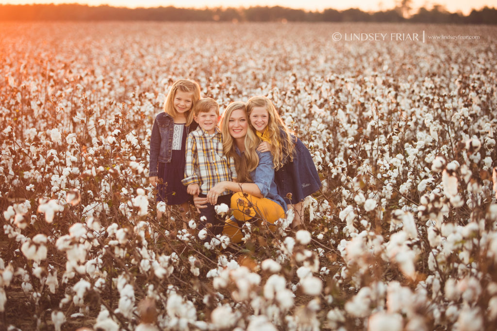 Cotton Mini Sessions Pensacola, Florida