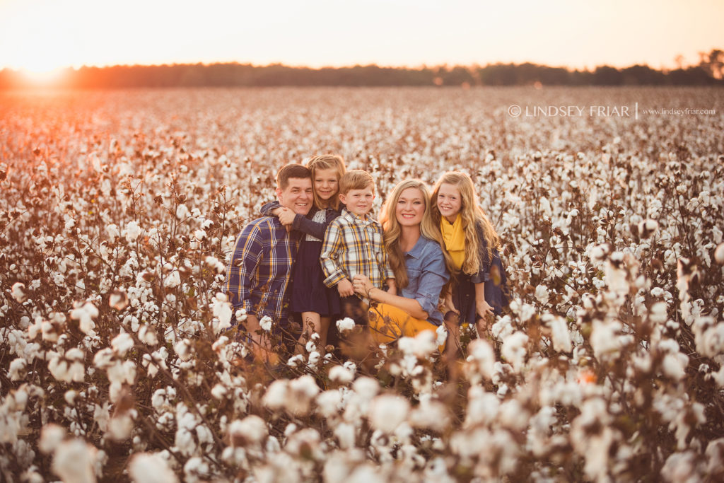 Cotton Mini Sessions Pensacola, Florida