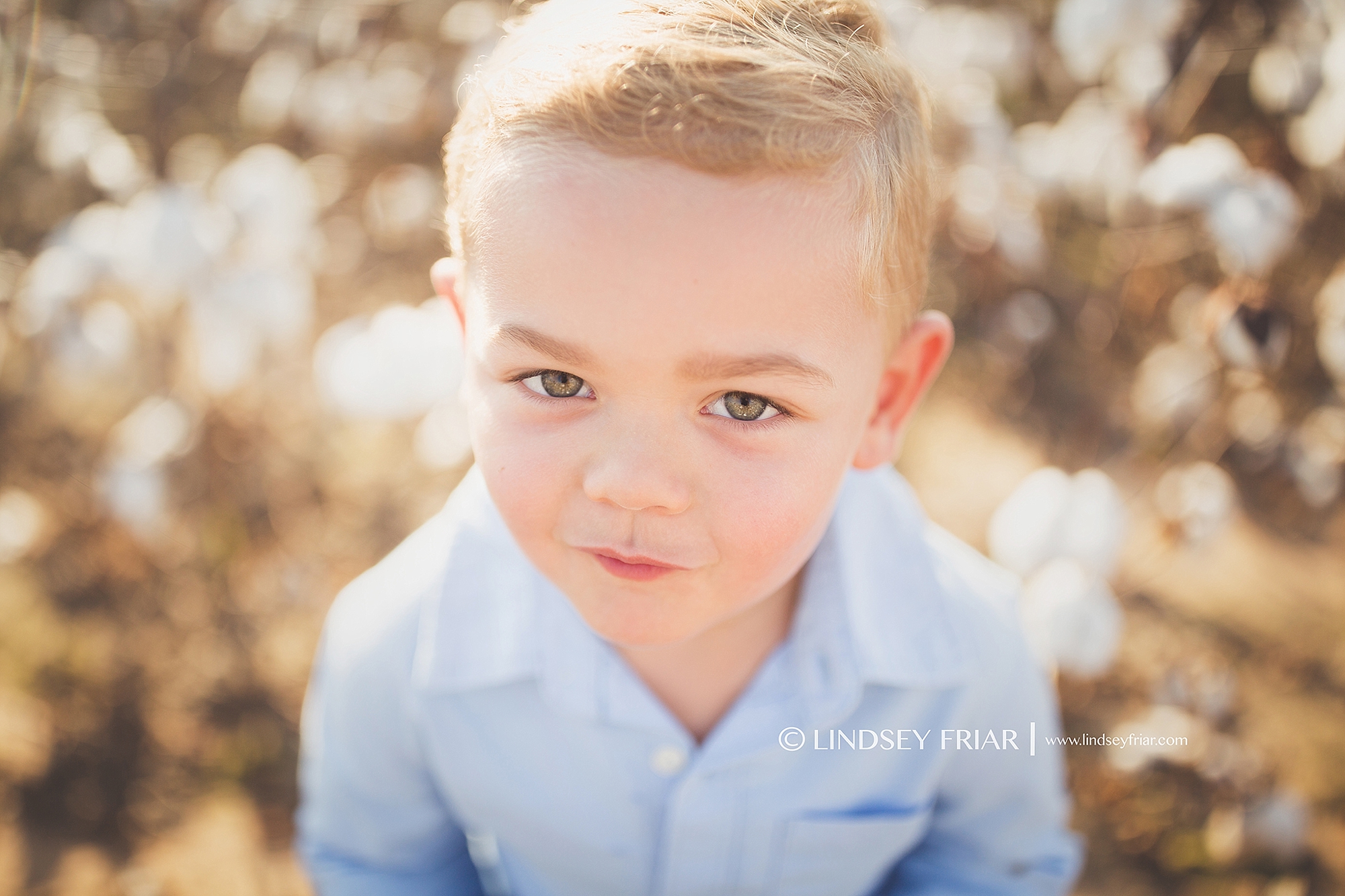 Cotton Mini Sessions, Pensacola, Florida