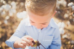 Cotton Mini Sessions, Pensacola, Florida