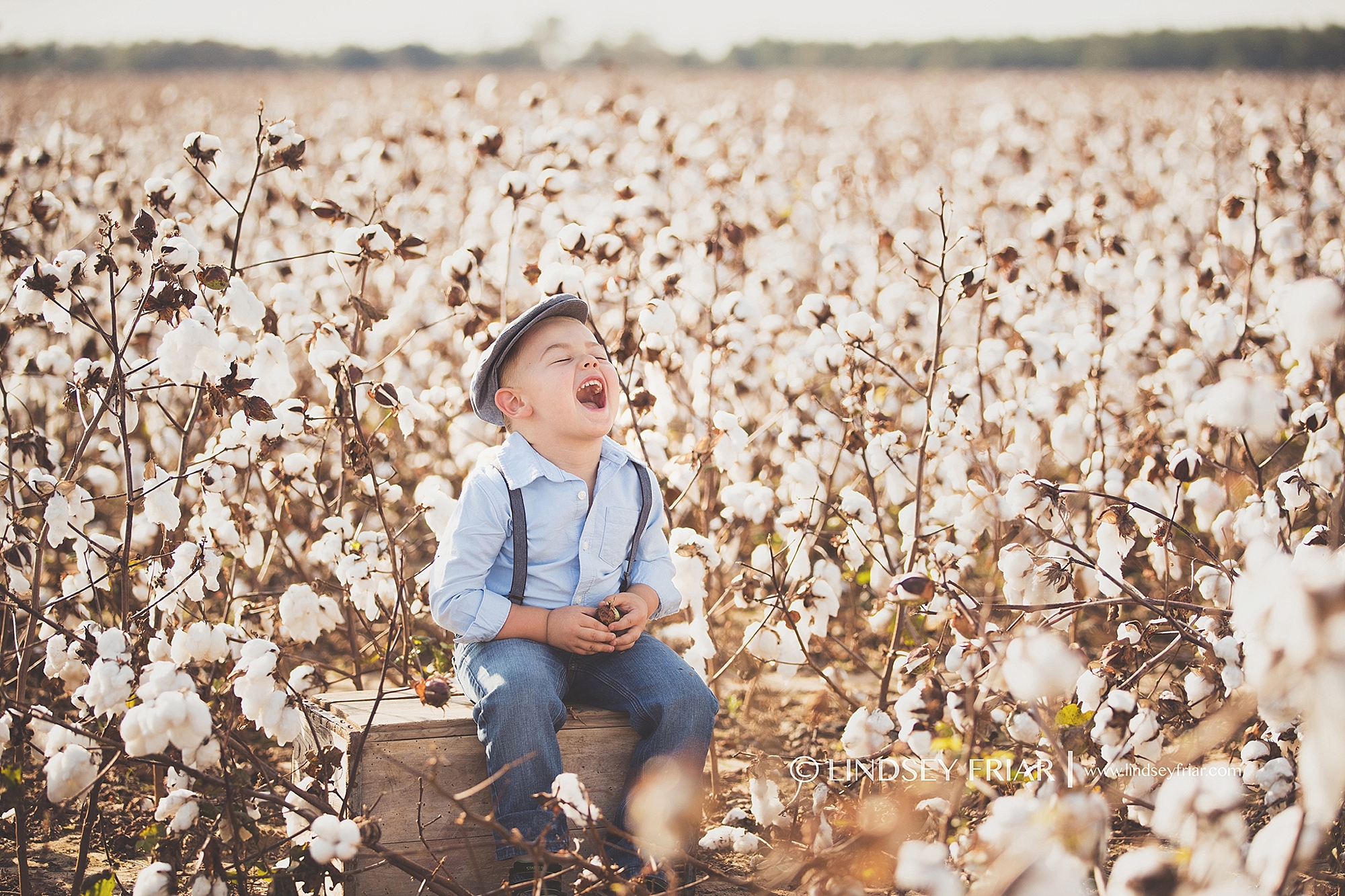 Cotton Mini Sessions, Pensacola, Florida