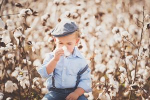 Cotton Mini Sessions, Pensacola, Florida