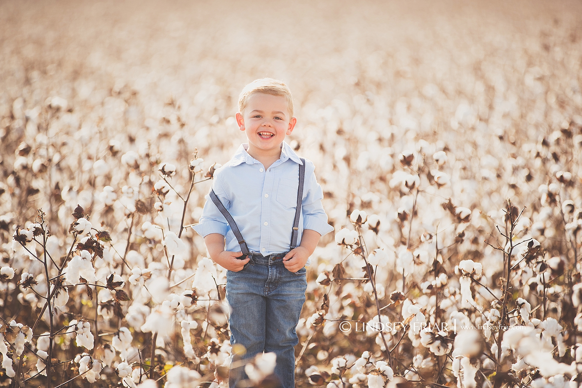 Cotton Mini Sessions, Pensacola, Florida