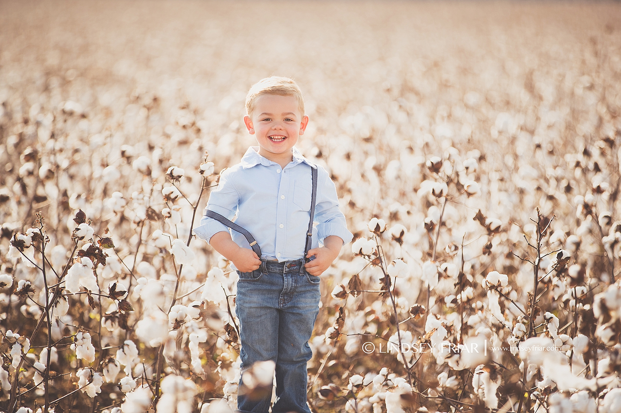 Cotton Mini Sessions, Pensacola, Florida