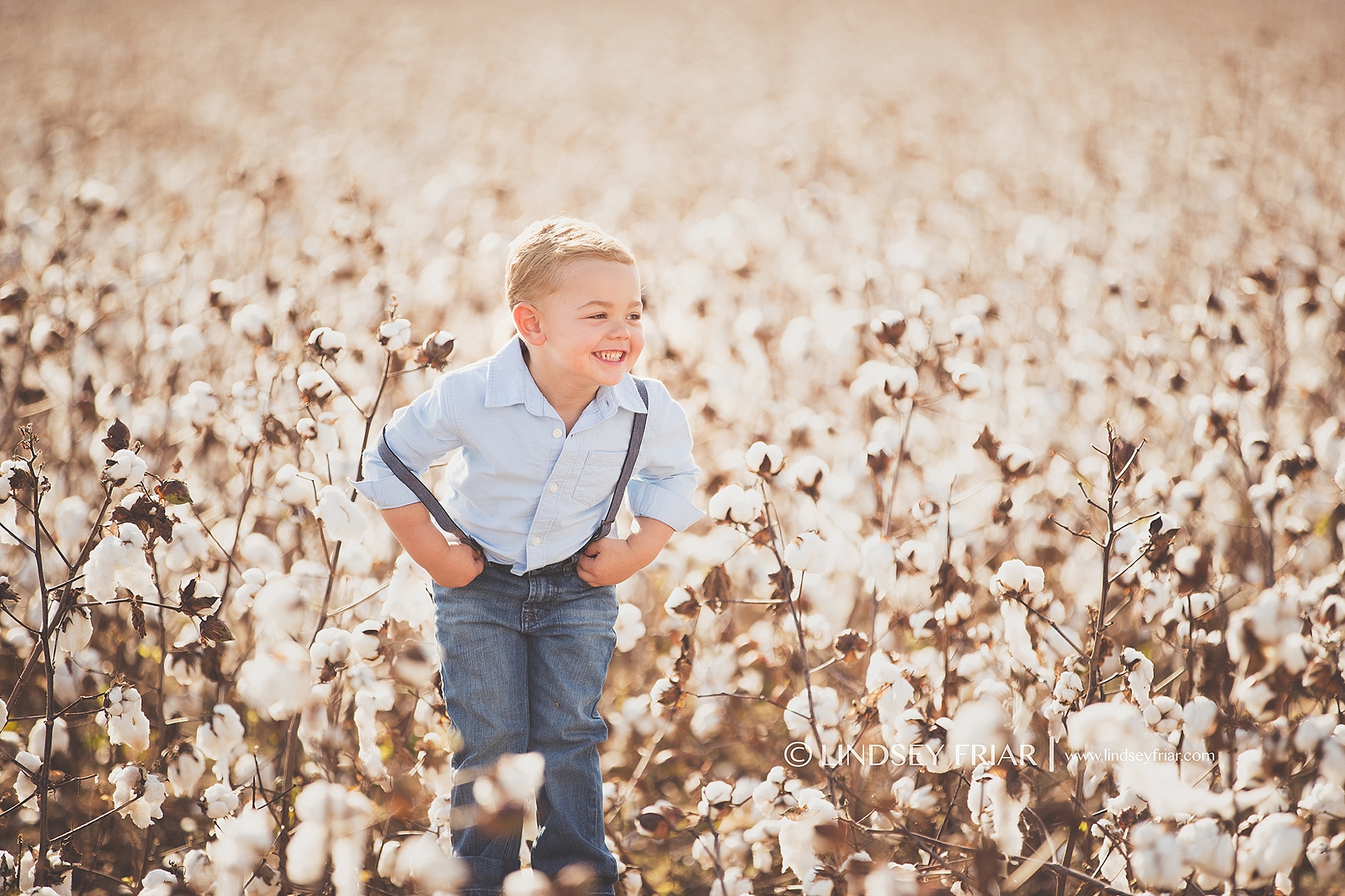 Cotton Mini Sessions, Pensacola, Florida