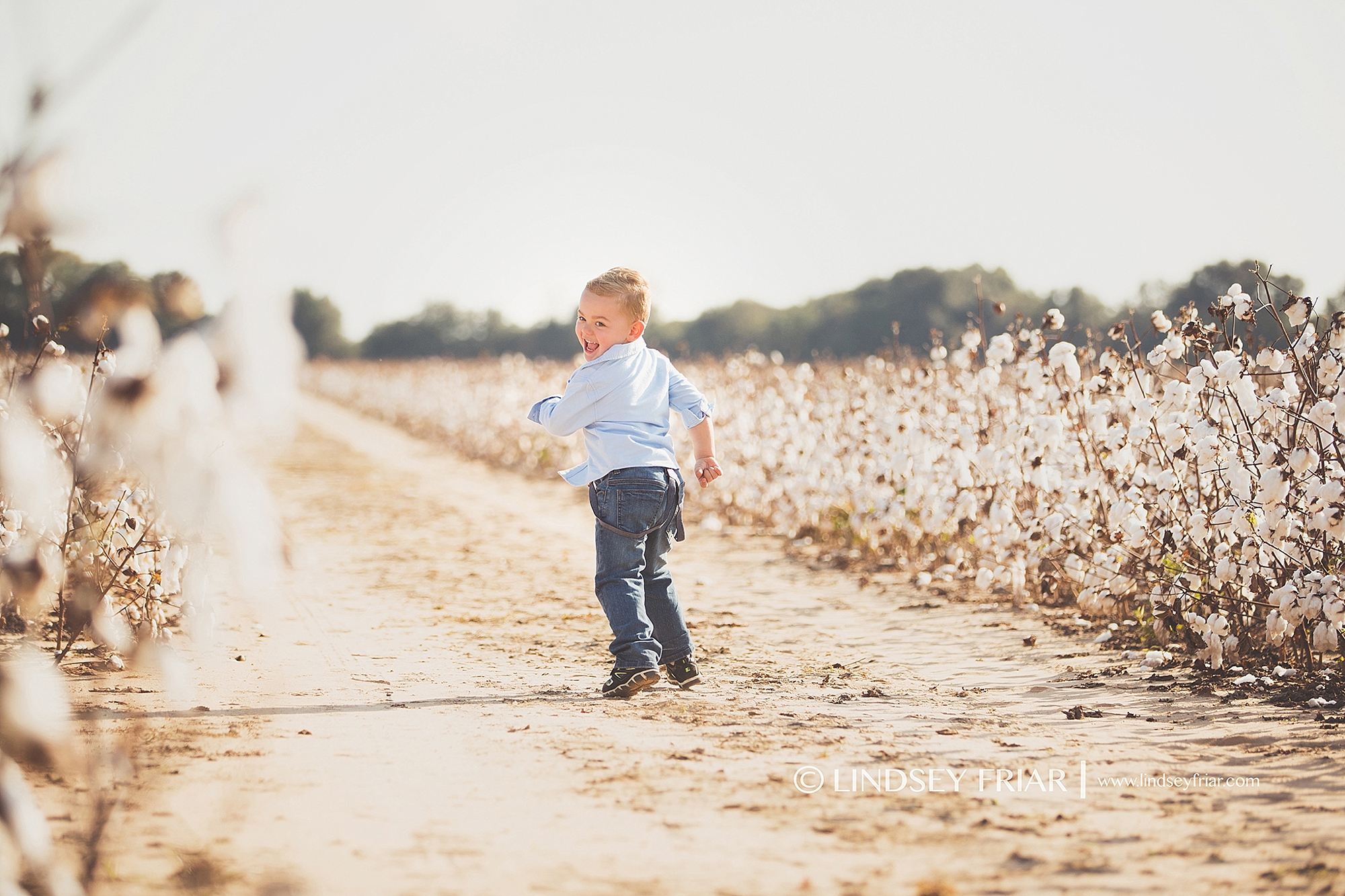 Cotton Mini Sessions, Pensacola, Florida