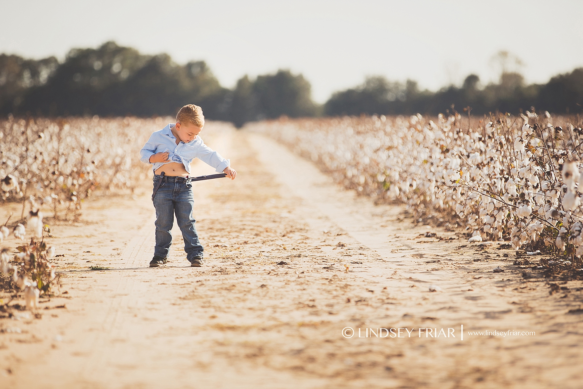 Cotton Mini Sessions, Pensacola, Florida