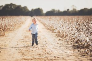 Cotton Mini Sessions, Pensacola, Florida