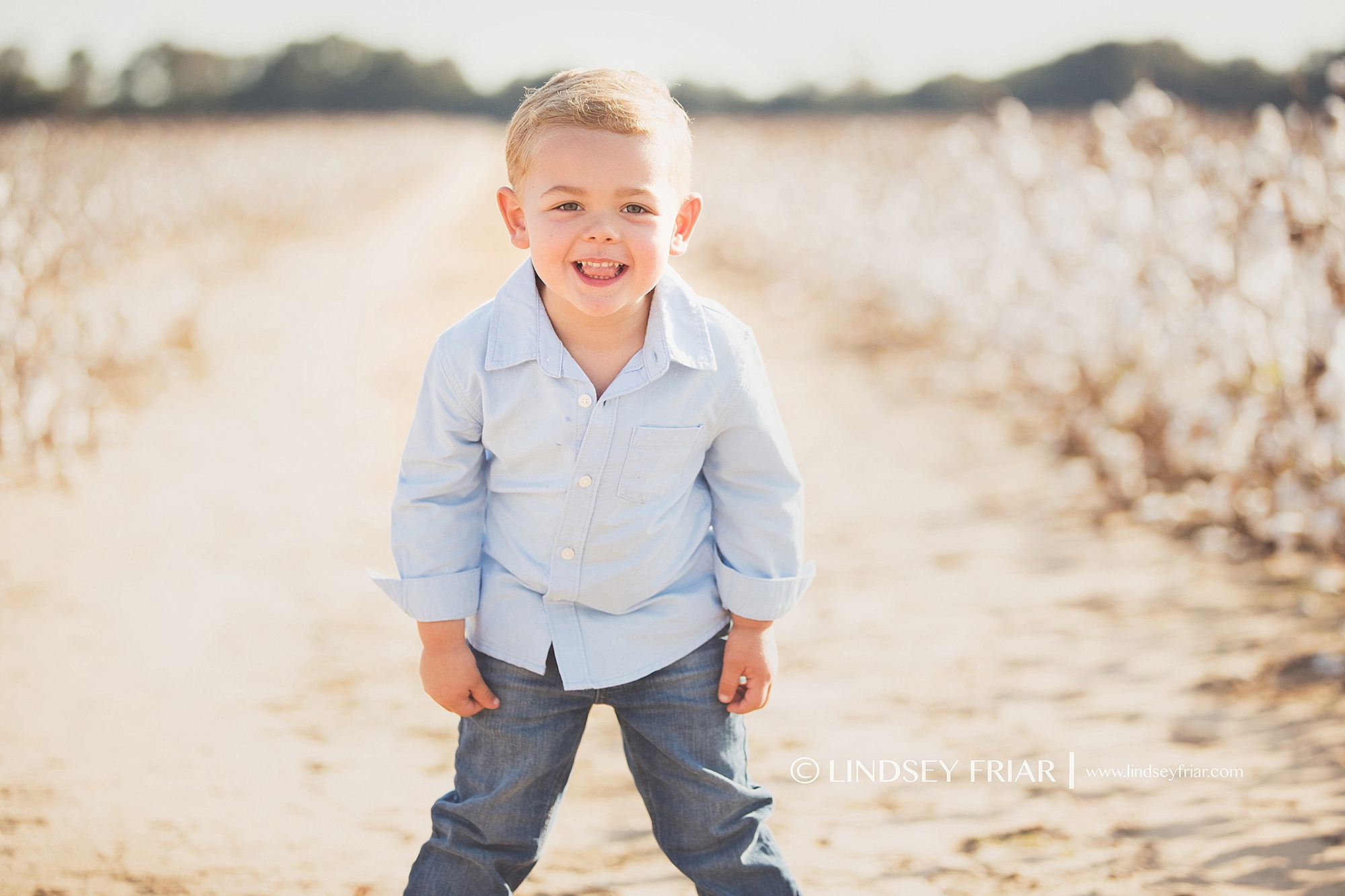 Cotton Mini Sessions, Pensacola, Florida