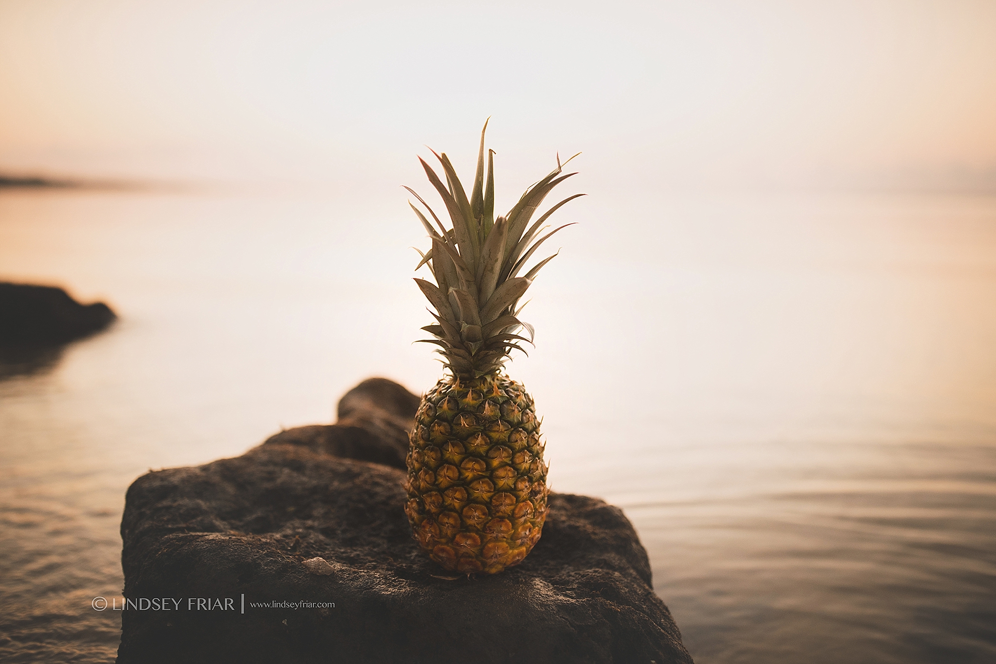 Maternity Photographer - Pensacola Beach