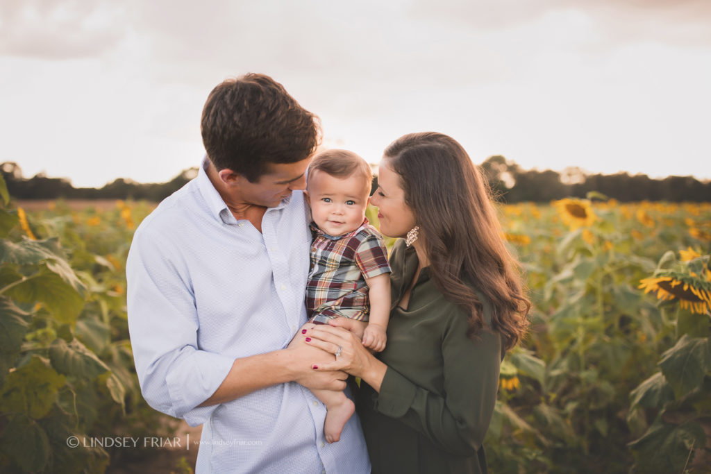 Sunflower Mini Sessions - Pensacola, FL Photographer