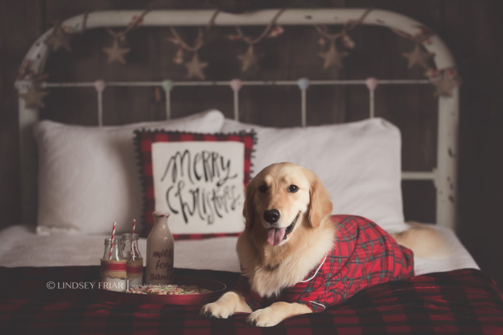 Pensacola, FL Photographer - Christmas Mini Sessions