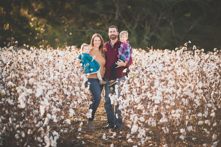 Cotton Mini Sessions, Pensacola, Florida