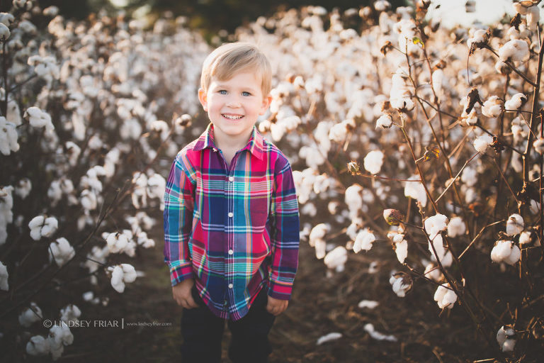 Cotton Mini Sessions, Pensacola, Florida