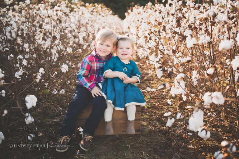 Cotton Mini Sessions, Pensacola, Florida