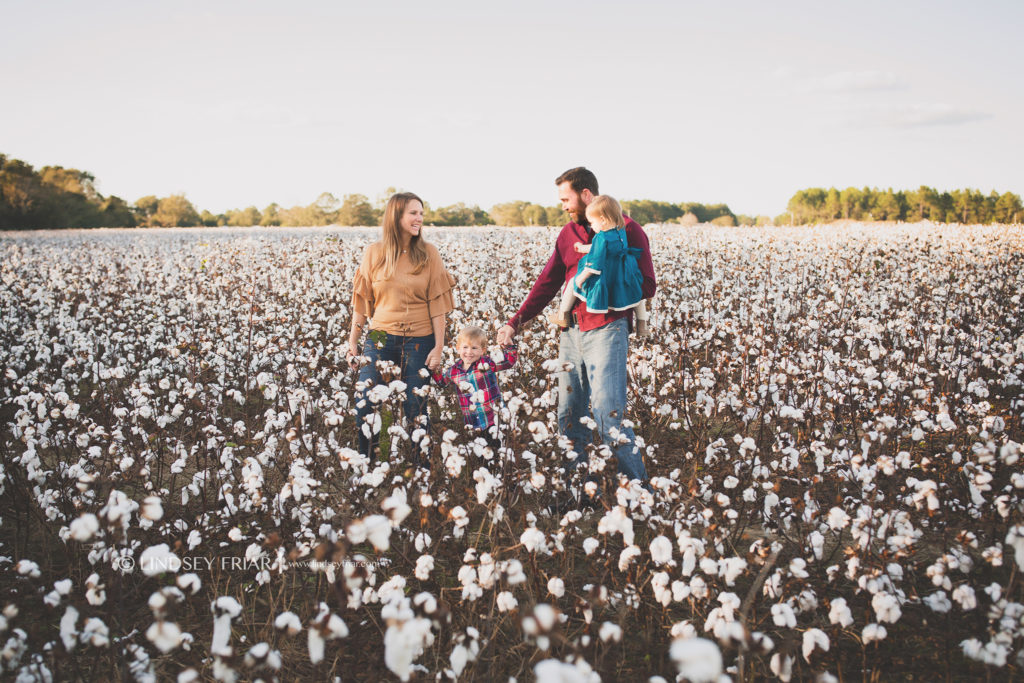 Cotton Mini Sessions, Pensacola, Florida