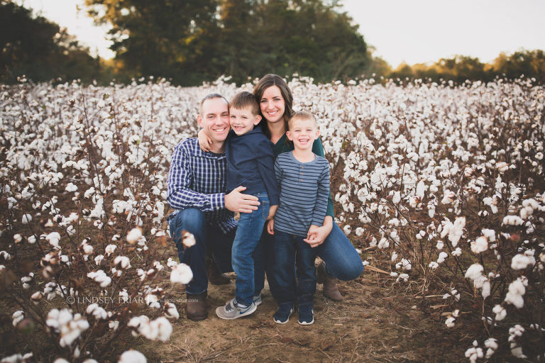 Cotton Mini Sessions, Pensacola, Florida