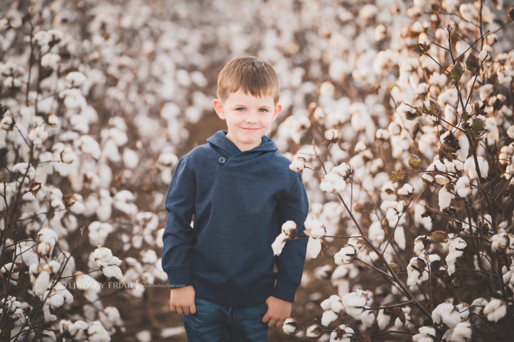 Cotton Mini Sessions, Pensacola, Florida