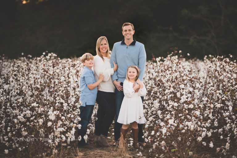 Cotton Mini Sessions, Pensacola, Florida