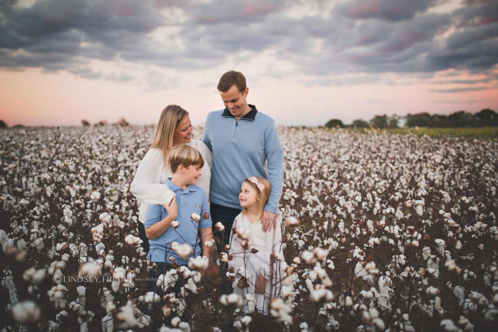 Cotton Mini Sessions, Pensacola, Florida