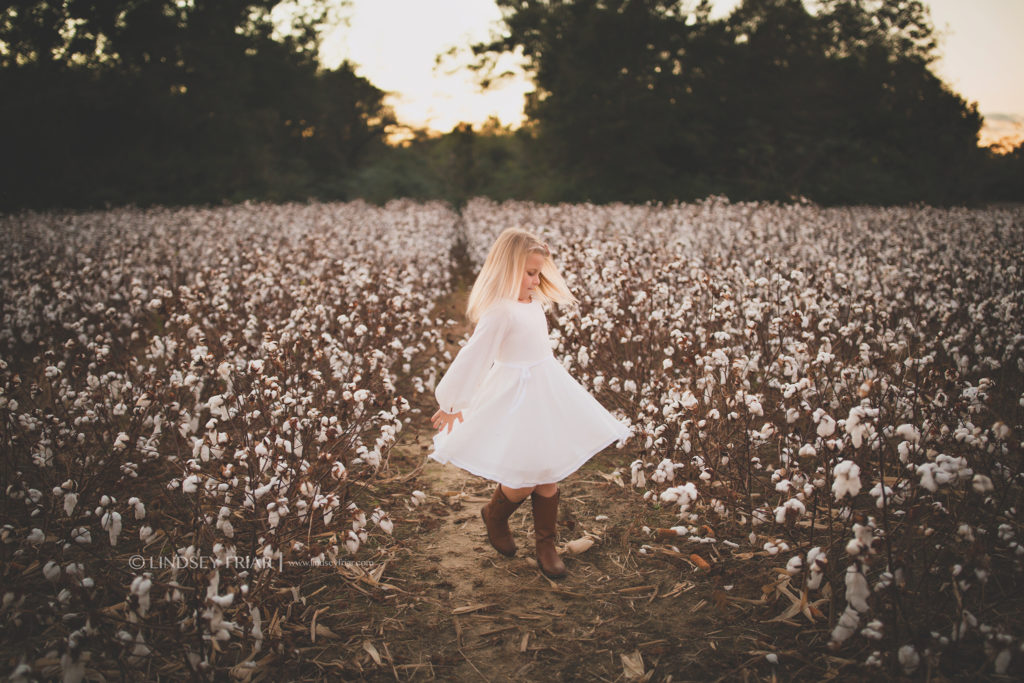 Cotton Mini Sessions, Pensacola, Florida