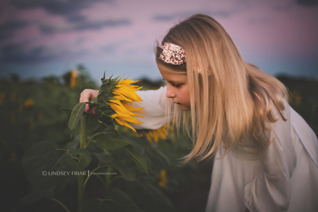 Cotton Mini Sessions, Pensacola, Florida