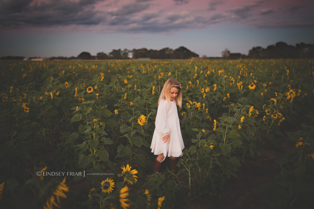 Cotton Mini Sessions, Pensacola, Florida