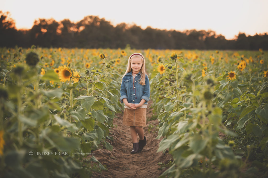 Sunflower Mini Session - Milton, FL Family Photographer