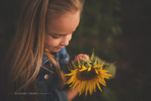 Sunflower Mini Session - Milton, FL Family Photographer