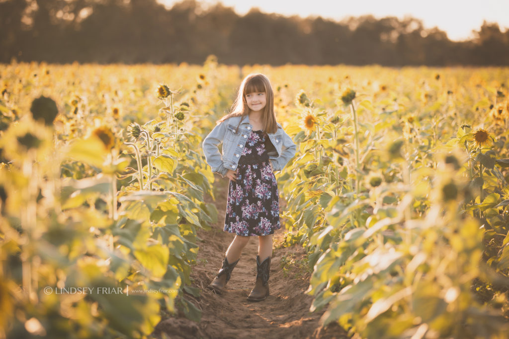 Sunflower Mini Session - Milton, FL Family Photographer