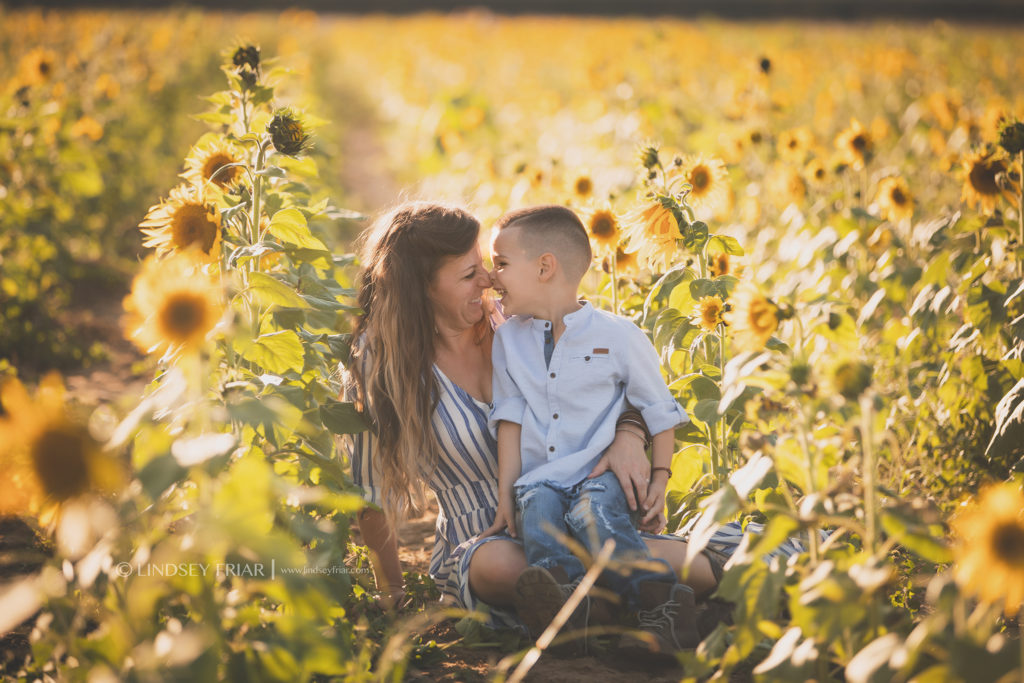 Sunflower Mini Session - Milton, FL Family Photographer